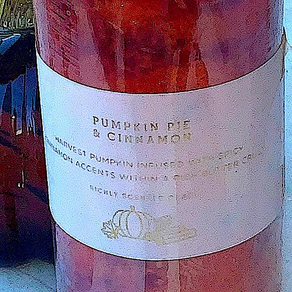 HAVEN STREET CANDLE PILLAR PUMPKIN PIE & CINNAMON 1 WICK 3 BY 6 - Picture 4 of 4